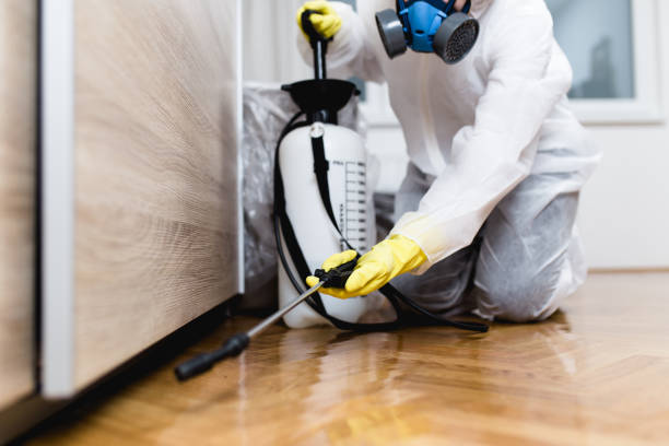 Best Affordable Pest Control Services  in Franklinton, LA