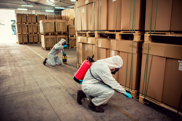 Best Exterminator Services  in Franklinton, LA