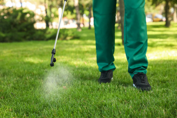 Best Pest Control Treatment  in Franklinton, LA