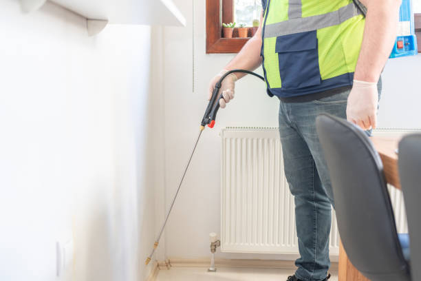 Best Rat Extermination Near Me  in Franklinton, LA