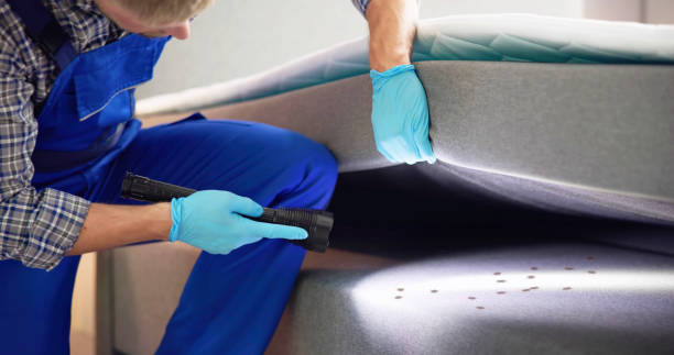 Best Emergency Pest Control  in Franklinton, LA