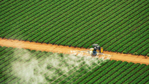 Best Commercial Pest Control Services  in Franklinton, LA