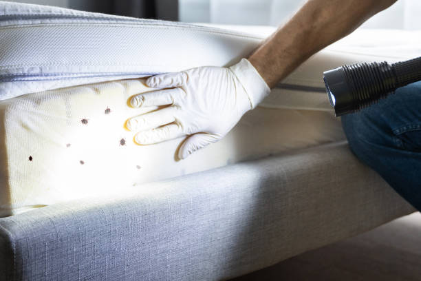Best Exterminator Services  in Franklinton, LA