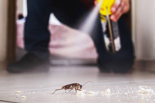 Reliable Franklinton, LA Pest Control Solutions