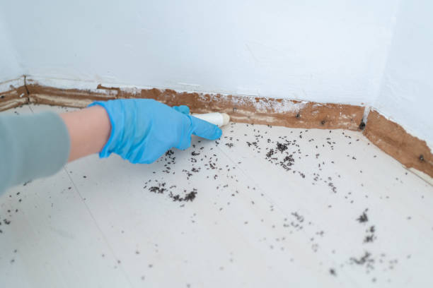 Best Residential Pest Control  in Franklinton, LA