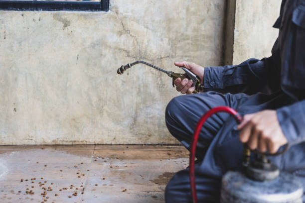 Best Pest Control Near Me in Franklinton, LA